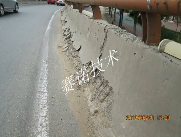 賽諾赴新疆高速公路管理局參加技術交流