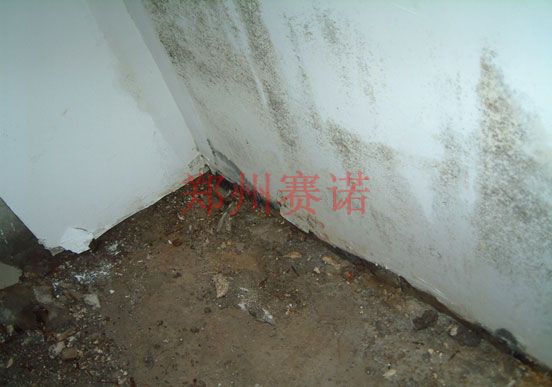 廈門會展中心和酒店屋面及地下室滲漏