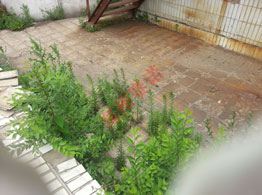 遼寧客戶來鄭州賽諾建材有限公司學習考察