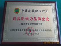 YYA特種防水抗滲漿料