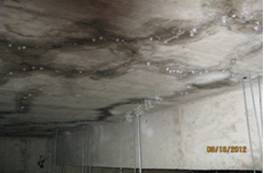 YYA 特種防水抗滲漿料