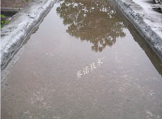 改性MD聚合物防水涂料被水浸泡也不漏水 改性MD聚合物防水涂料被水浸泡也不漏水