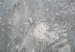 漏水點直觀局部破壞局部修復即可 漏水點直觀局部破壞局部修復即可