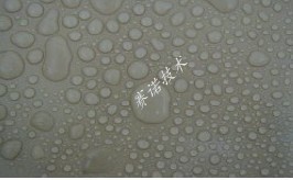 賽諾技術 賽諾技術