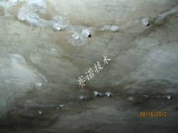 賽諾技術 賽諾技術