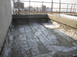 賽諾技術 賽諾技術