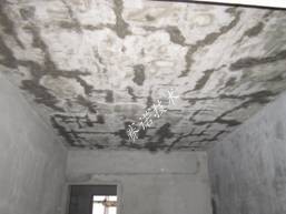 賽諾技術 賽諾技術