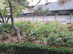 賽諾技術 賽諾技術