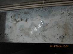 賽諾技術 賽諾技術