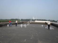 賽諾技術 賽諾技術