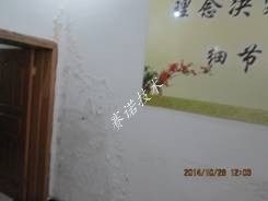 賽諾技術 賽諾技術