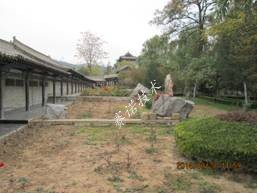 賽諾技術 賽諾技術