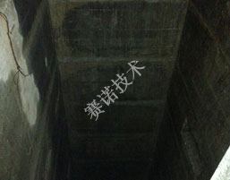 賽諾背水一噴靈對電梯井井壁漏水的治理