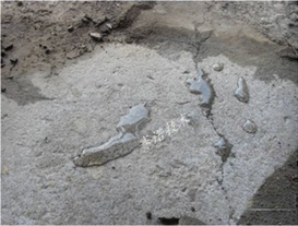 YYPE特種高分子卷材粘結(jié)劑被破壞也不漏水 YYPE特種高分子卷材粘結(jié)劑被破壞也不漏水