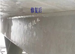 用YYB特種防腐抗滲漿料處理后的碼頭設施 用YYB特種防腐抗滲漿料處理后的碼頭設施