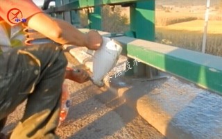 用YYB特種防腐抗滲漿料對遭到腐蝕的混凝土設施進行修復 用YYB特種防腐抗滲漿料對遭到腐蝕的混凝土設施進行修復