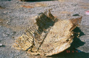 海邊混凝土、磚結構建筑長期在海洋環境條件下腐蝕嚴重 海邊混凝土、磚結構建筑長期在海洋環境條件下腐蝕嚴重