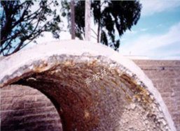 海邊混凝土、磚結構建筑長期在海洋環境條件下腐蝕嚴重 海邊混凝土、磚結構建筑長期在海洋環境條件下腐蝕嚴重