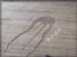 YY7特種路橋防水材料防水滲透效果好