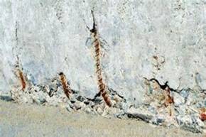 混凝土露筋修復用YY7特種路橋防水材料