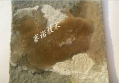 YYF特種防腐涂料鹽酸防腐實驗 YYF特種防腐涂料鹽酸防腐實驗