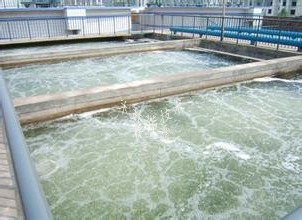 污水處理廠污水廠防腐工程 污水處理廠污水廠防腐工程
