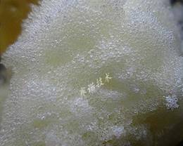 YY17形成細(xì)密的封閉狀彈性泡沫 YY17形成細(xì)密的封閉狀彈性泡沫