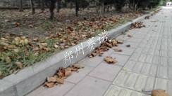 鄭州賽諾結球技術應用在路牙石