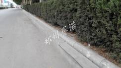 鄭州賽諾結球技術應用在路牙石