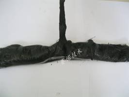 YYR伸縮縫專用密封材料具有優良的粘接力和抗拉伸性能 YYR伸縮縫專用密封材料具有優良的粘接力和抗拉伸性能