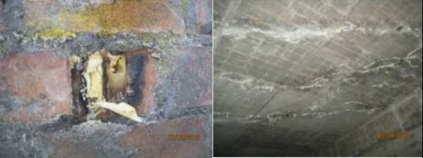 磚墻漏水 磚墻漏水