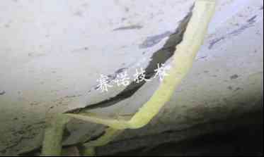 普通的聚氨酯收縮脫落