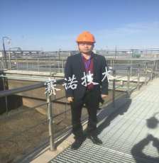 在中石化做咨詢