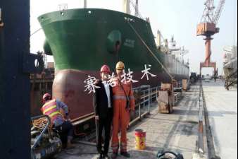 國際項目技術指導