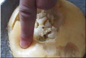 放置一年后，YY17特種萊卡樹脂依舊彈性良好