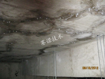 地下車庫頂板滲漏