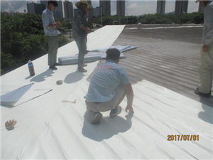 未來防水行業的發展 未來防水行業的發展