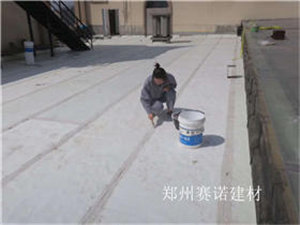 未來防水行業的發展 未來防水行業的發展