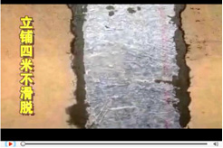 賽諾公司介紹視頻