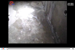 MD衛(wèi)生間防水