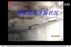 種植屋面開裂漏水的治理