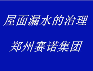屋面滲漏的治理