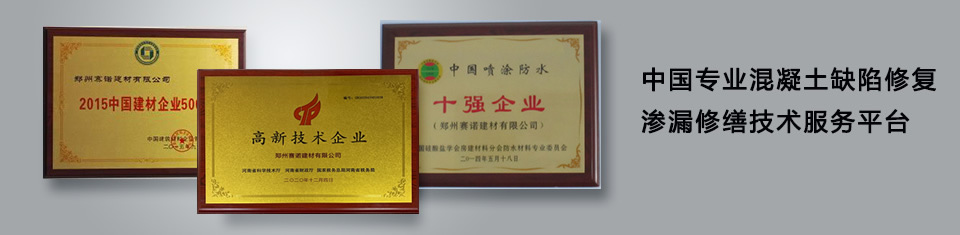 中國專業的混凝土缺陷修復滲漏修繕技術服務平臺 中國專業的混凝土缺陷修復滲漏修繕技術服務平臺