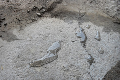 YYP滲透結晶防水涂料 YYP滲透結晶防水涂料