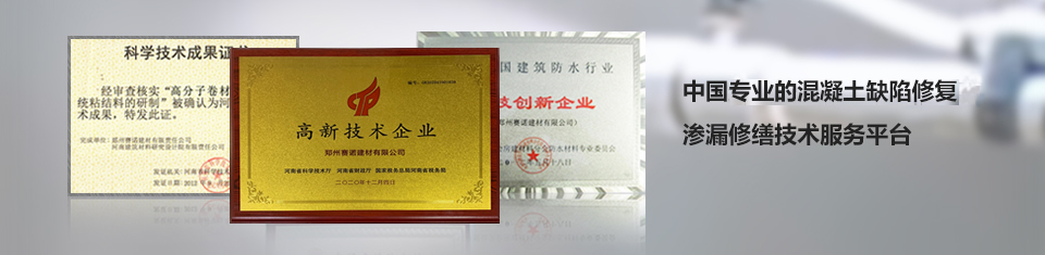 中國最專業的混凝土缺陷修復滲漏修繕技術服務平臺 中國最專業的混凝土缺陷修復滲漏修繕技術服務平臺
